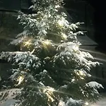 Apartment & Golf Zell Am *