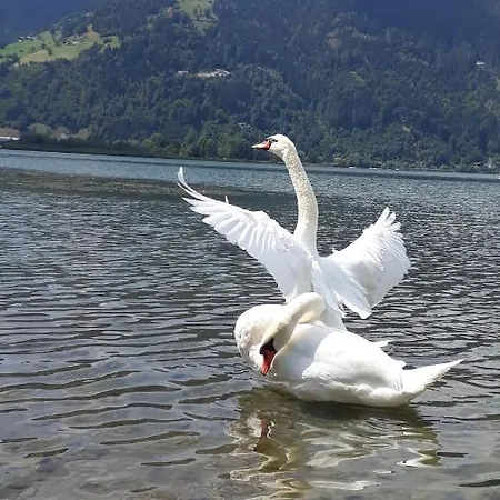 Διαμέρισμα & Golf Zell Am *