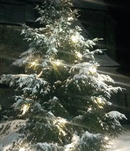 아파트 & Golf Zell Am *