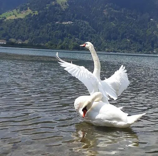 Lejlighed & Golf Zell Am *